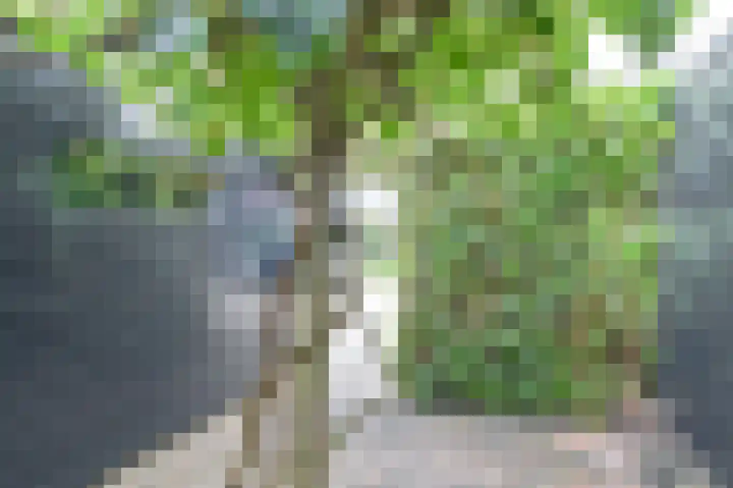 Ruinerbrink 249 Emmen thumbnail 6