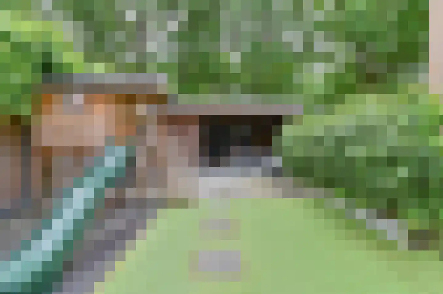 Ruinerbrink 249 Emmen thumbnail 64