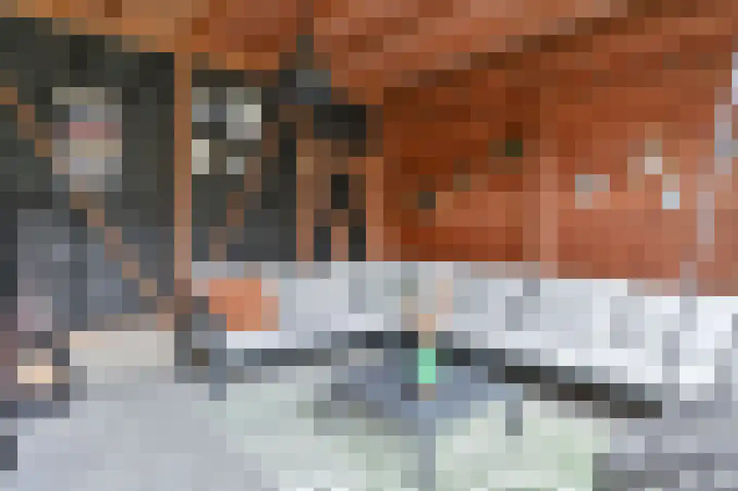 Ruinerbrink 249 Emmen thumbnail 66