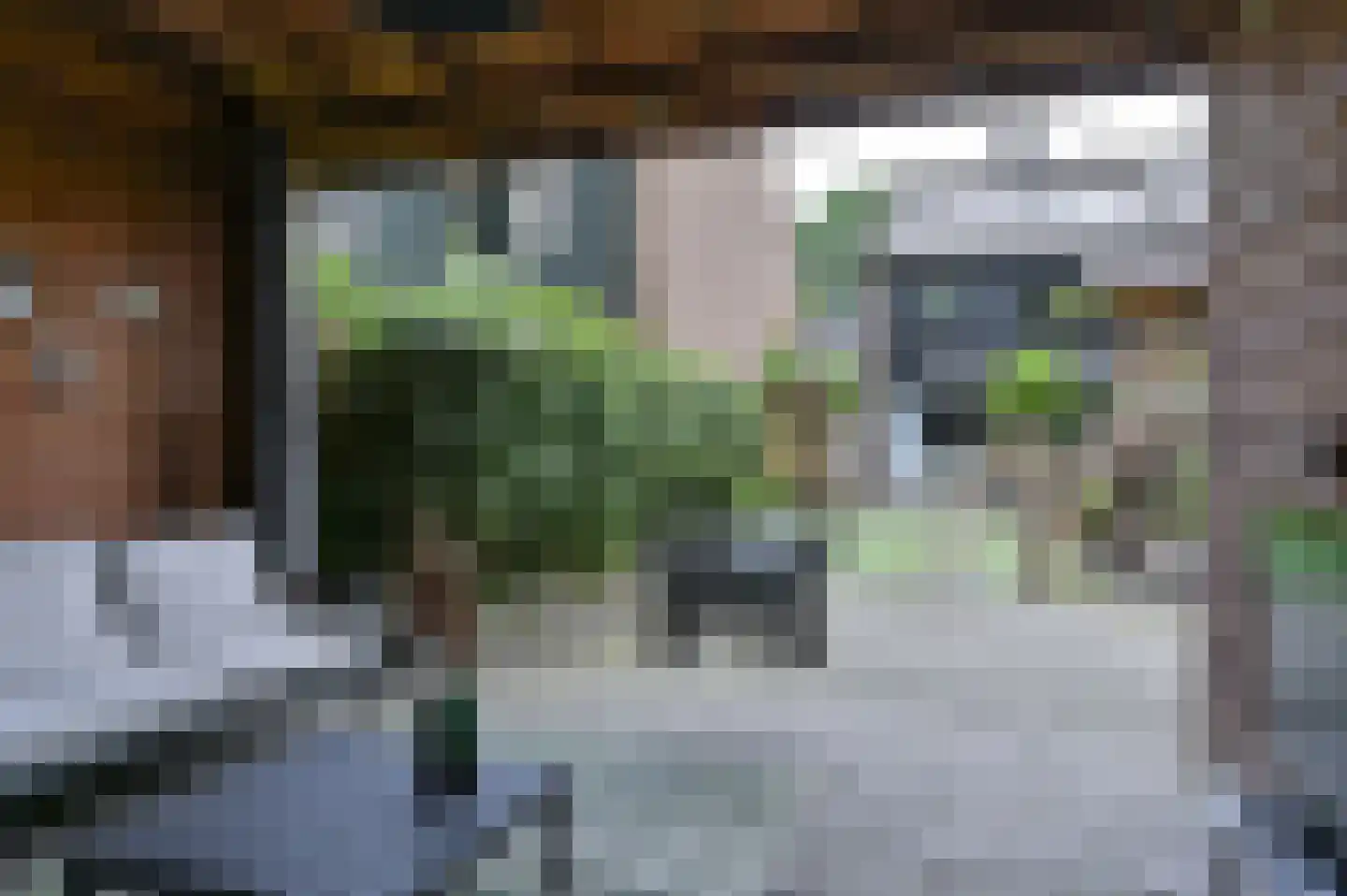 Ruinerbrink 249 Emmen thumbnail 68