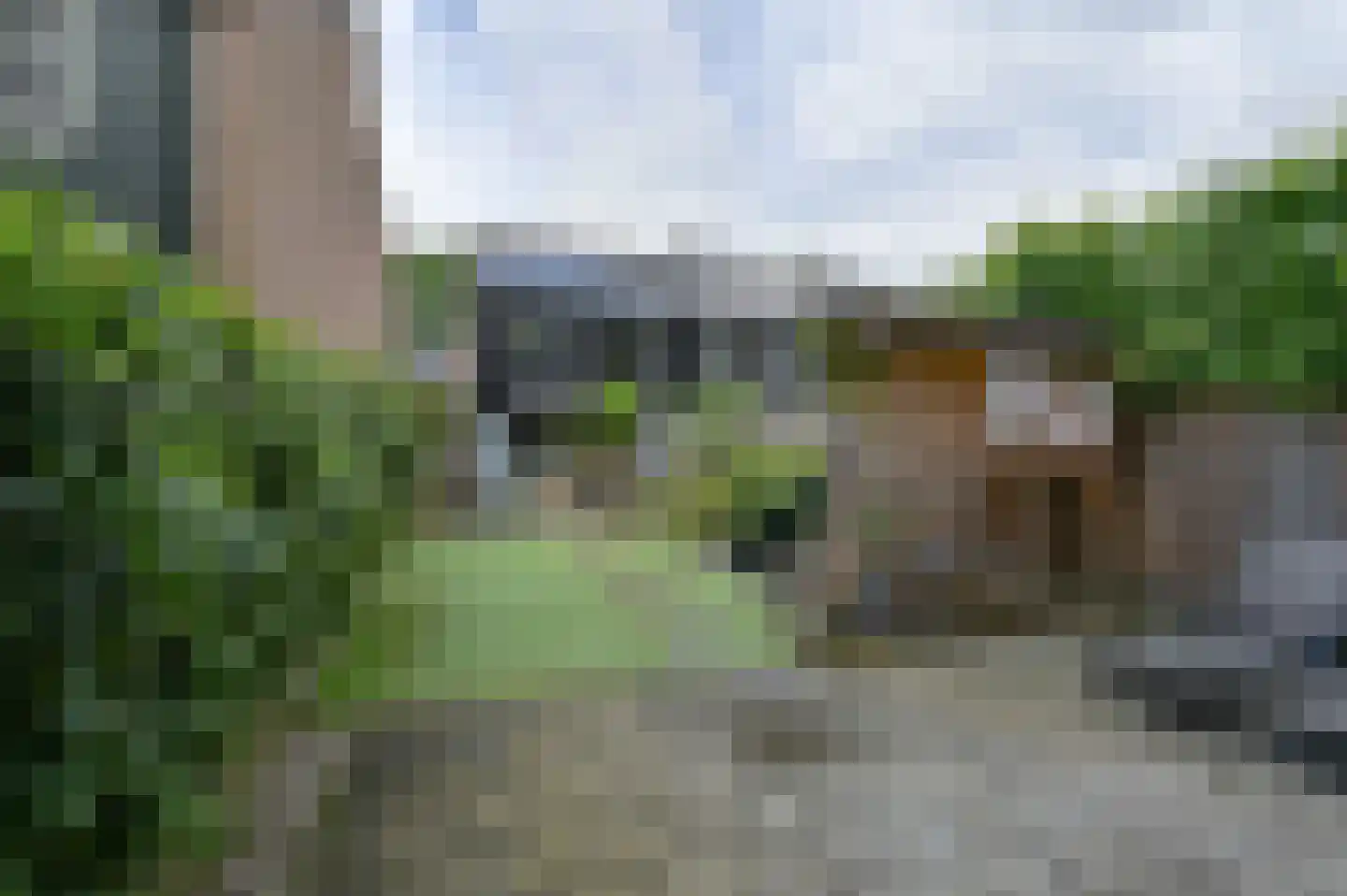 Ruinerbrink 249 Emmen thumbnail 70