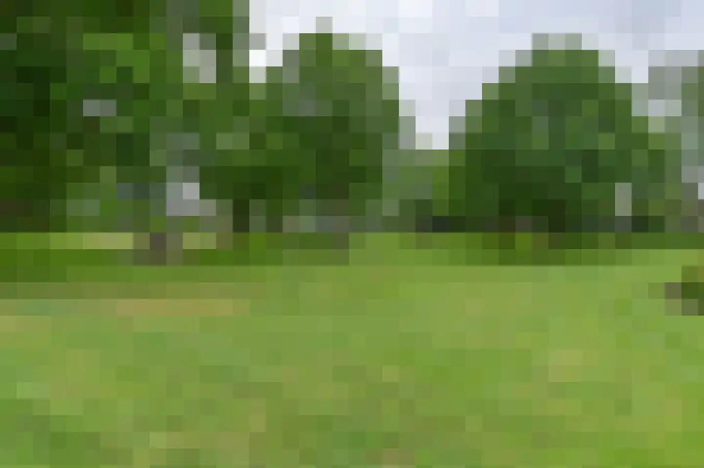 Ruinerbrink 249 Emmen thumbnail 73