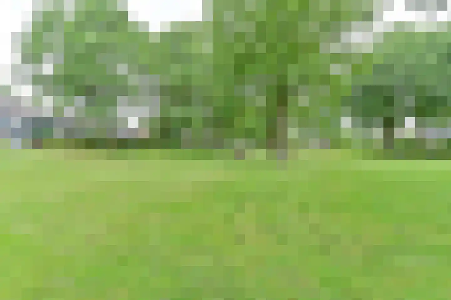 Ruinerbrink 249 Emmen thumbnail 74