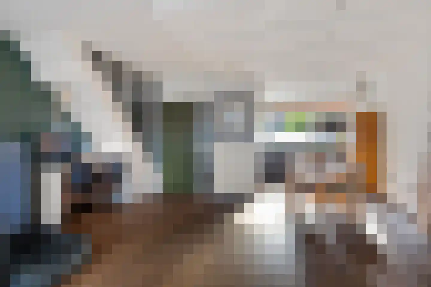 Ruinerbrink 254 Emmen thumbnail 16