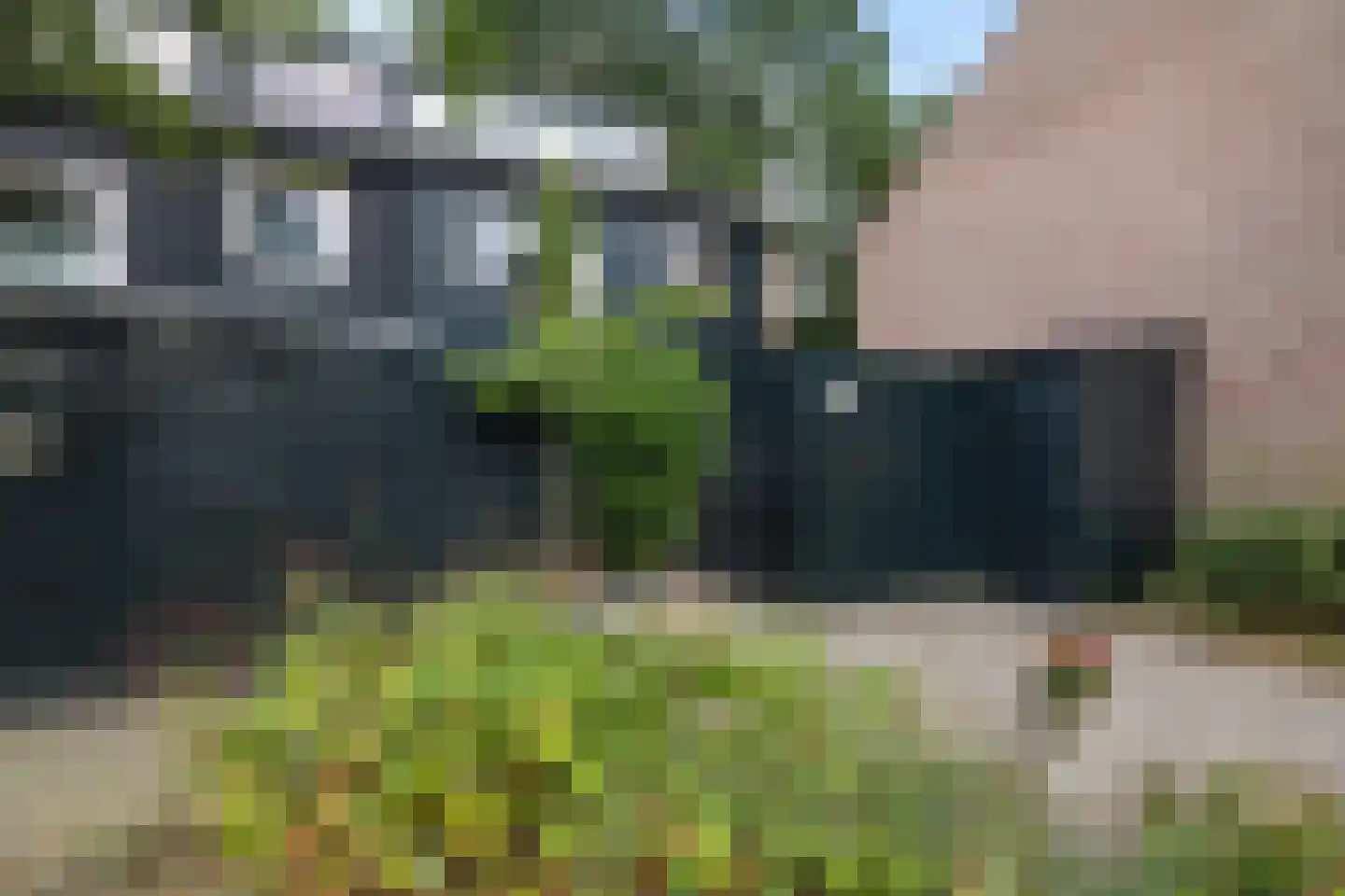 Ruinerbrink 254 Emmen thumbnail 4