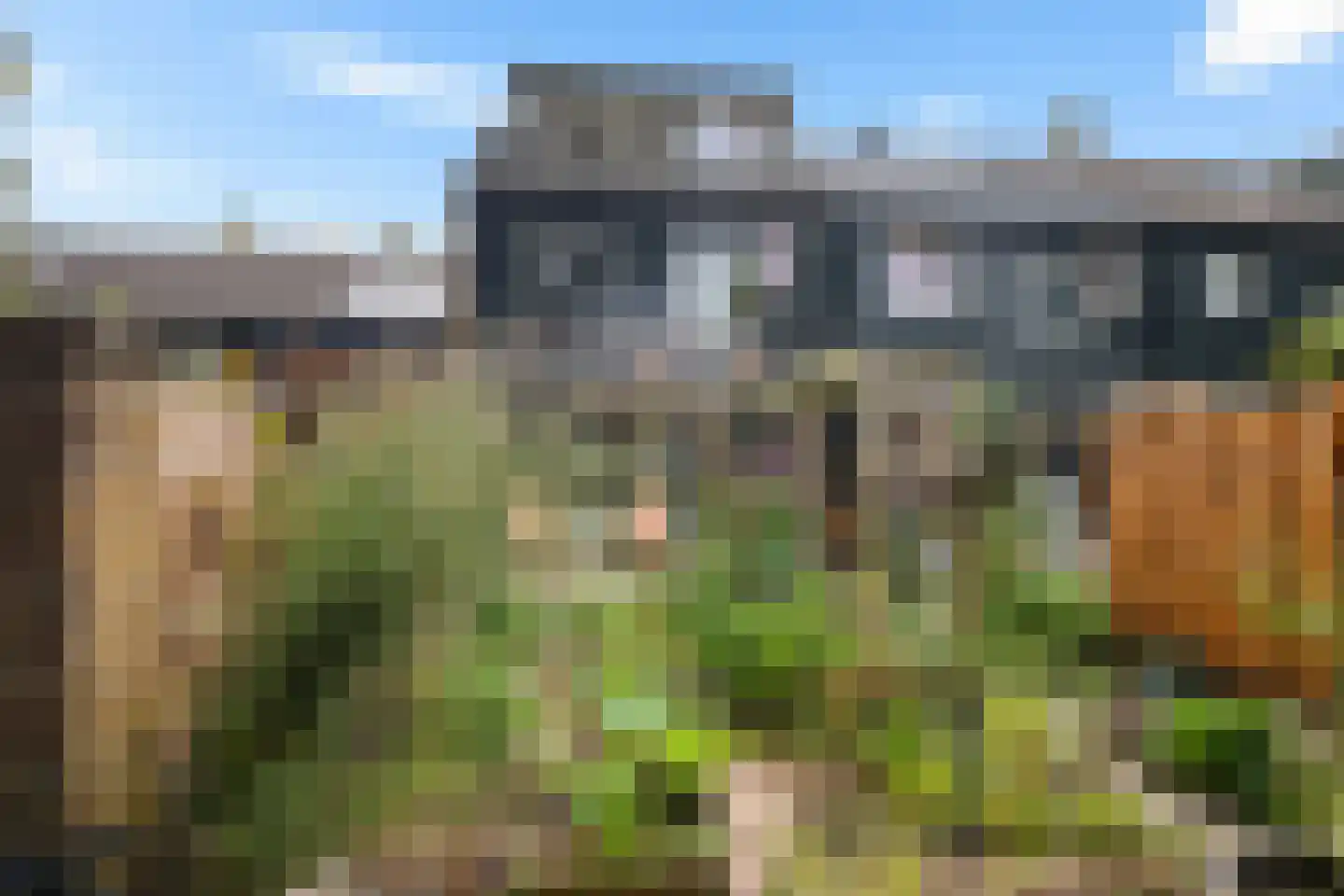 Ruinerbrink 254 Emmen thumbnail 40