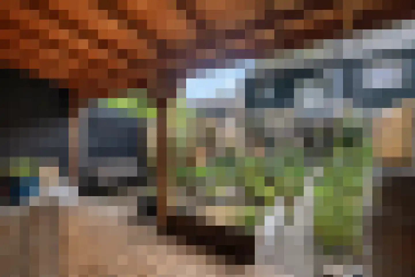 Ruinerbrink 254 Emmen thumbnail 43