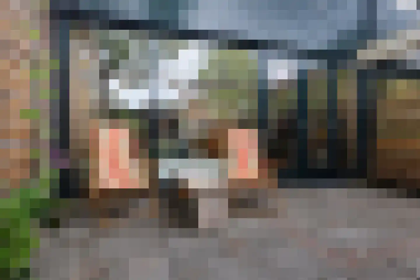 Ruinerbrink 254 Emmen thumbnail 44