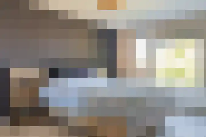 Ruinerbrink 256 Emmen thumbnail 30