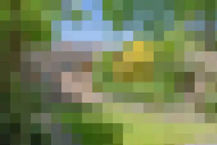 Ruinerbrink 256 Emmen thumbnail 39