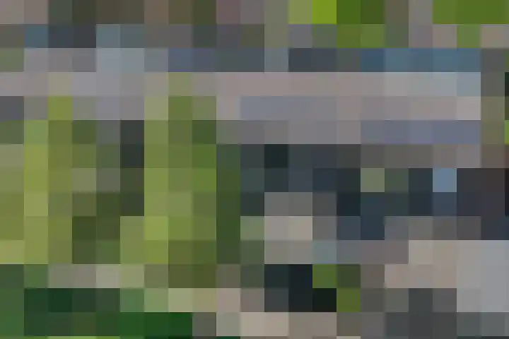Ruinerbrink 256 Emmen thumbnail 4