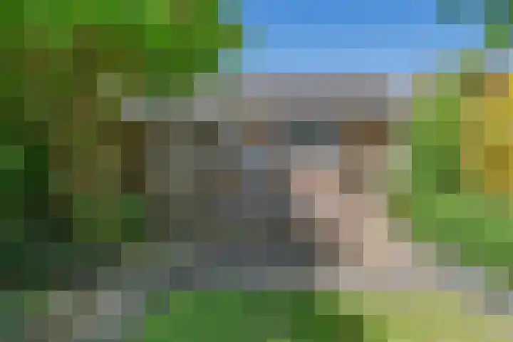 Ruinerbrink 256 Emmen thumbnail 40