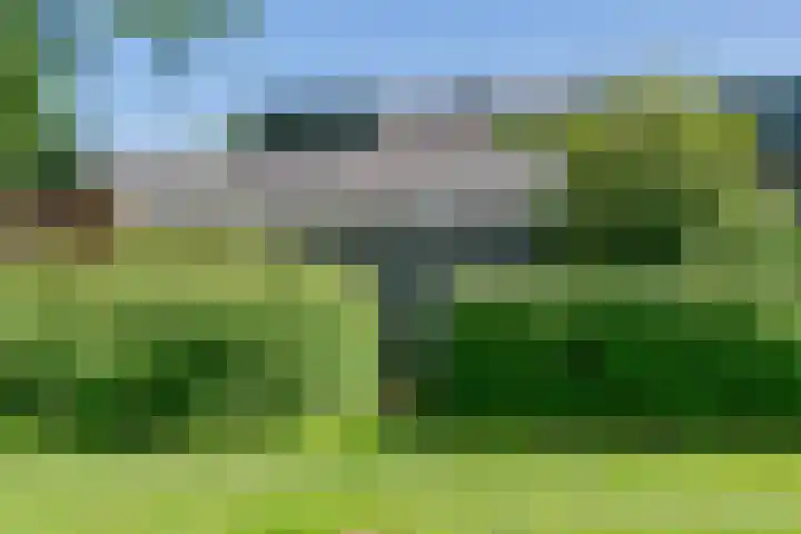 Ruinerbrink 256 Emmen thumbnail 43