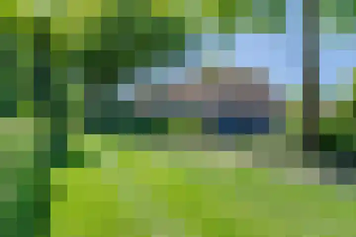 Ruinerbrink 256 Emmen thumbnail 44