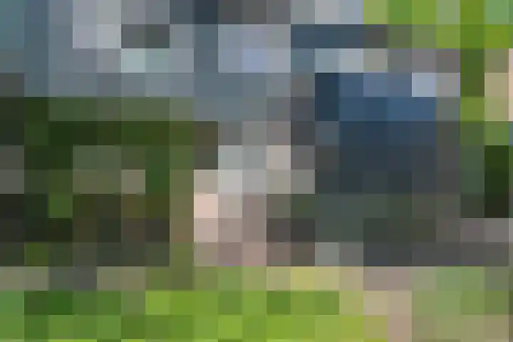 Ruinerbrink 256 Emmen thumbnail 6