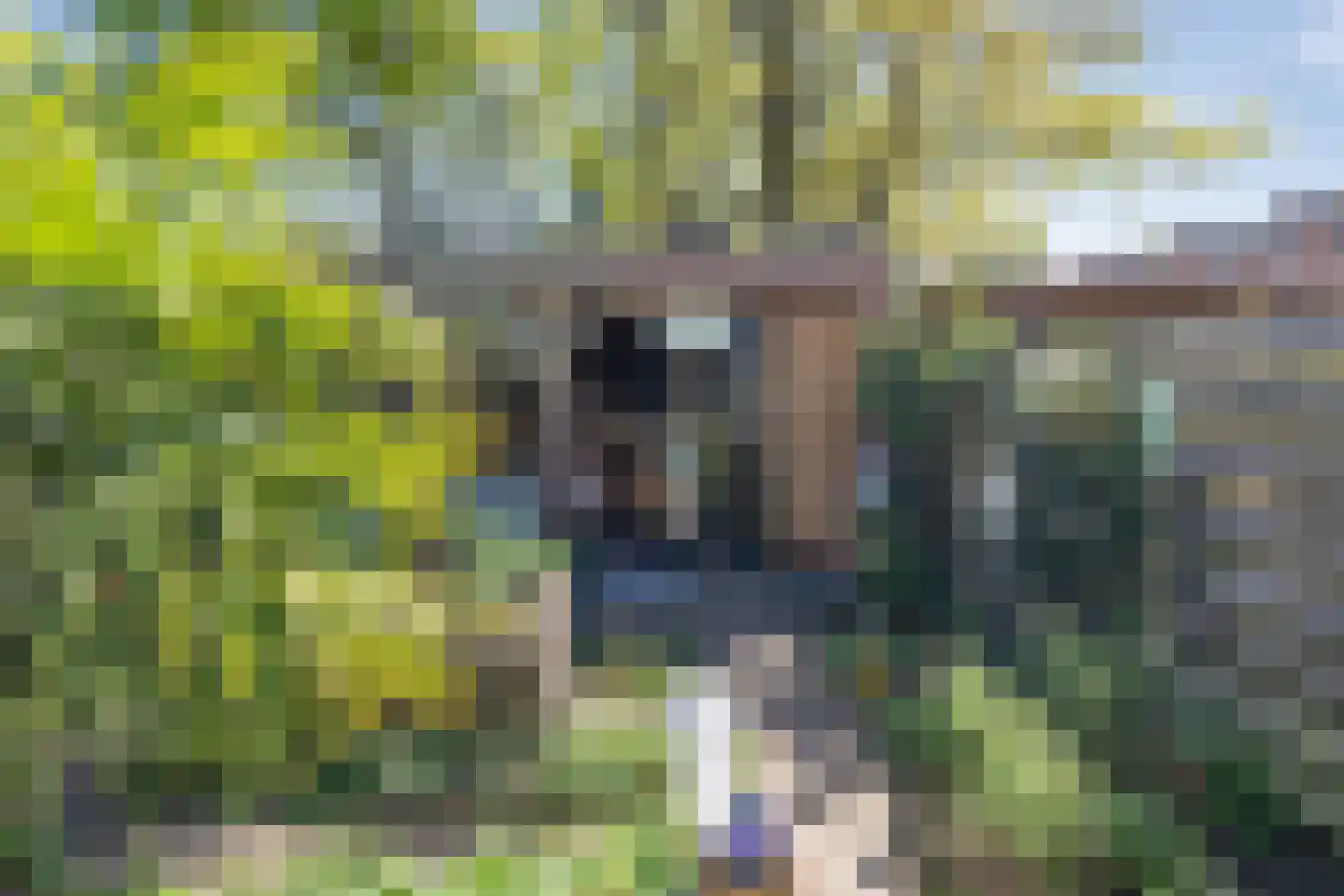 Ruinerbrink 276 Emmen thumbnail 32