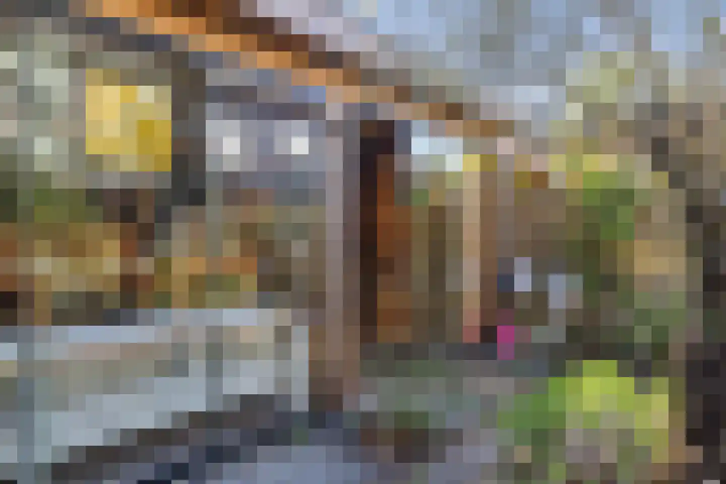 Ruinerbrink 276 Emmen thumbnail 34