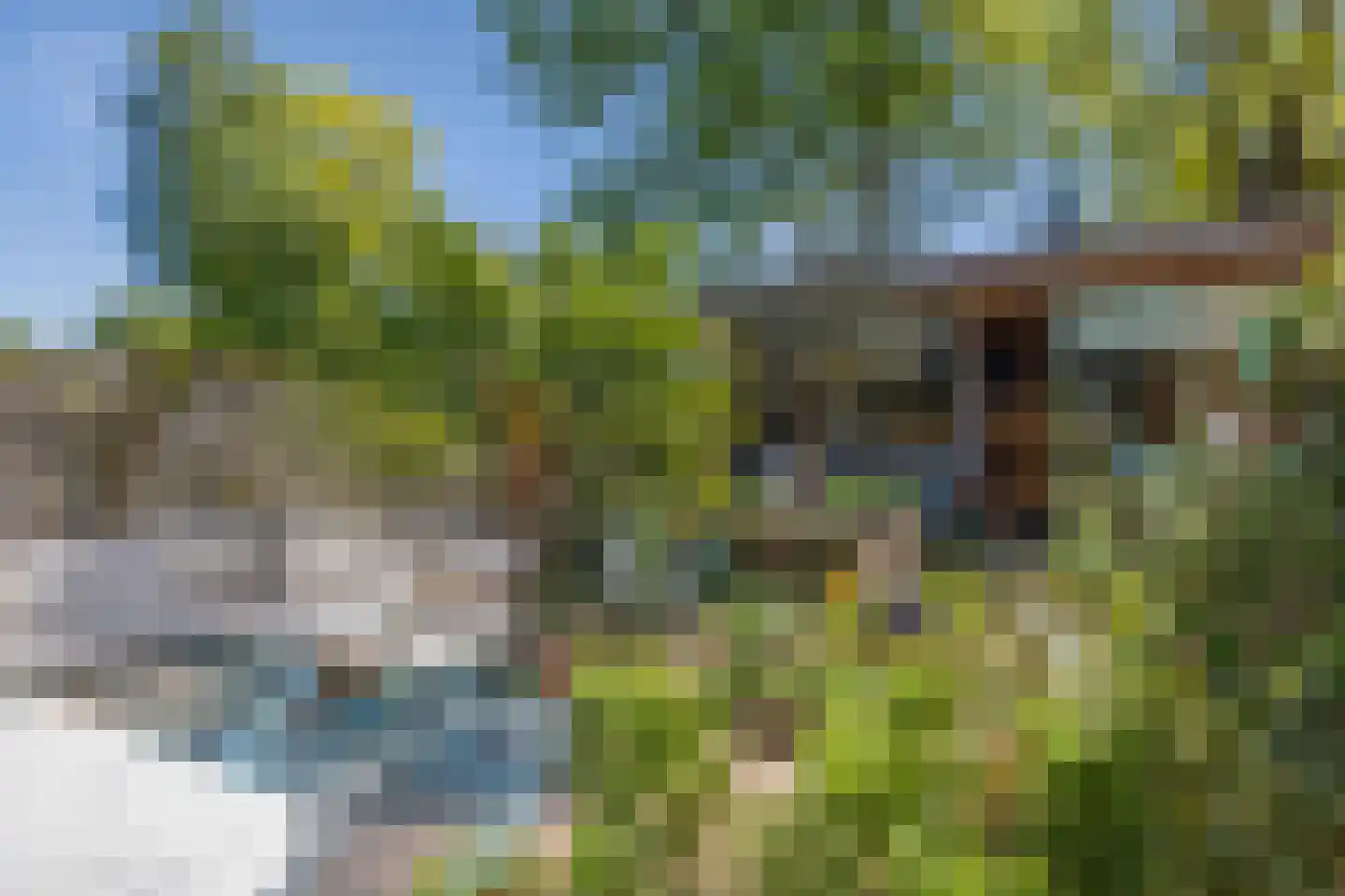 Ruinerbrink 276 Emmen thumbnail 39