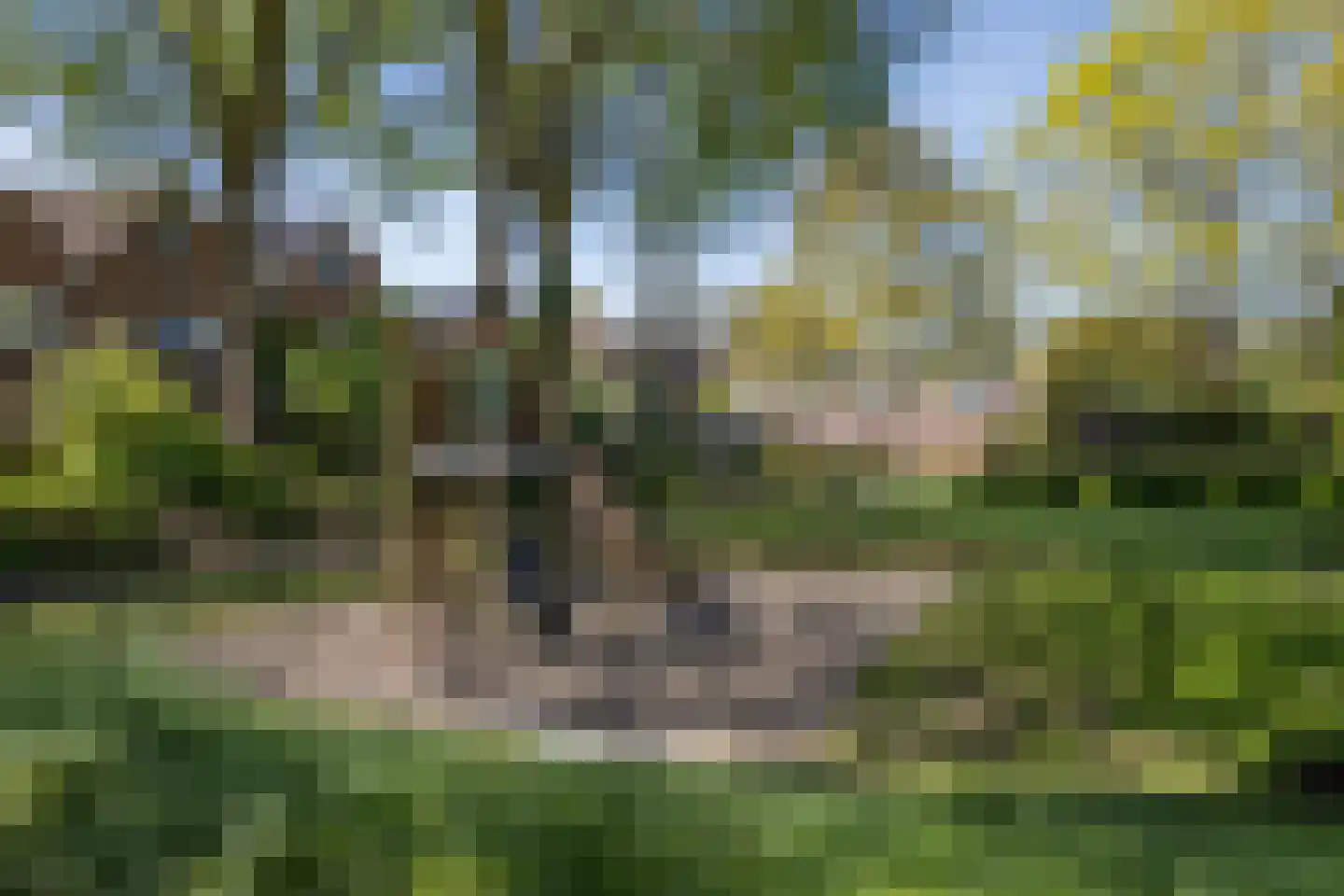 Ruinerbrink 276 Emmen thumbnail 40
