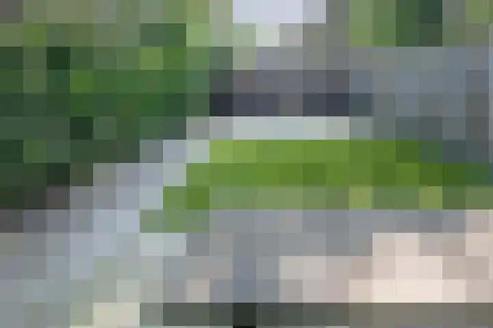 Ruinerbrink 279 Emmen thumbnail 25