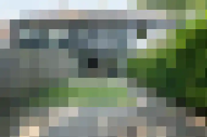 Ruinerbrink 279 Emmen thumbnail 28