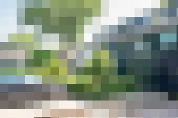 Ruinerbrink 279 Emmen thumbnail 30
