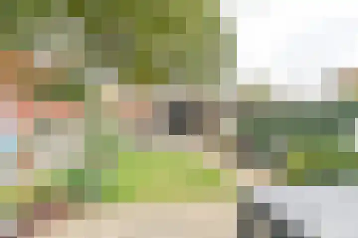 Ruinerbrink 285 Emmen thumbnail 55