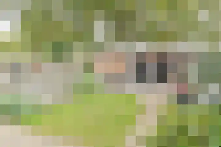Ruinerbrink 285 Emmen thumbnail 57