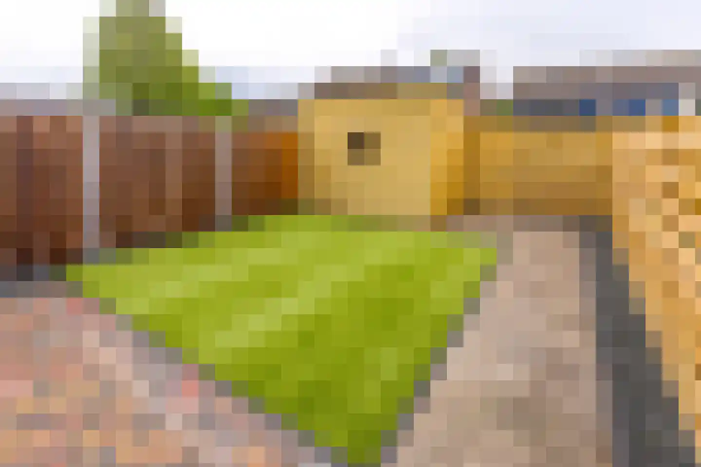 Ruinerbrink 305 Emmen thumbnail 39
