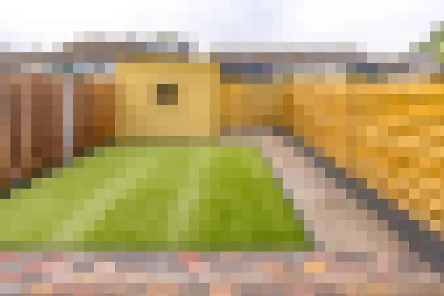 Ruinerbrink 305 Emmen thumbnail 5