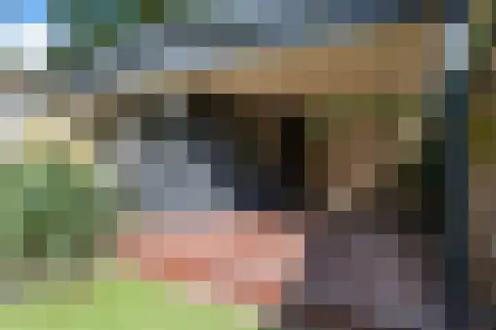Ruinerbrink 315 Emmen thumbnail 30
