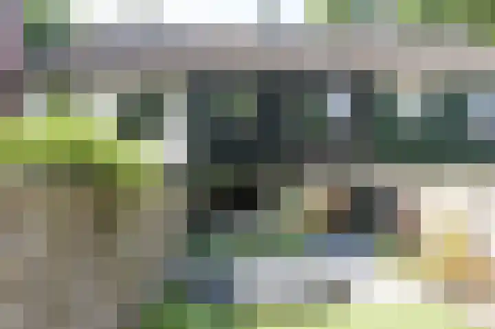 Ruinerbrink 315 Emmen thumbnail 32