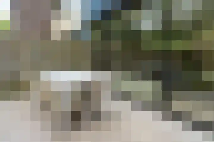 Ruinerbrink 315 Emmen thumbnail 33
