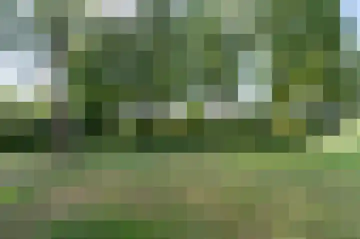 Ruinerbrink 315 Emmen thumbnail 34