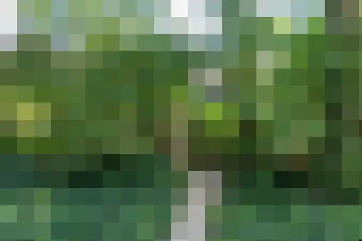 Ruinerbrink 315 Emmen thumbnail 35