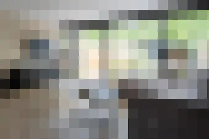 Ruinerbrink 315 Emmen thumbnail 4