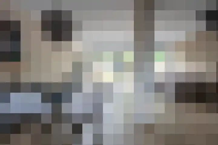 Ruinerbrink 315 Emmen thumbnail 7