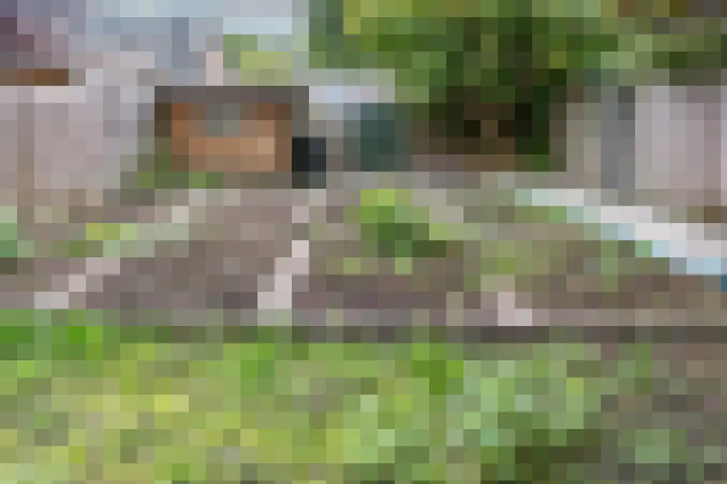 Ruinerbrink 366 Emmen thumbnail 28