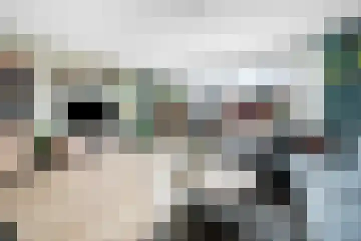 Ruinerbrink 80 Emmen thumbnail 14