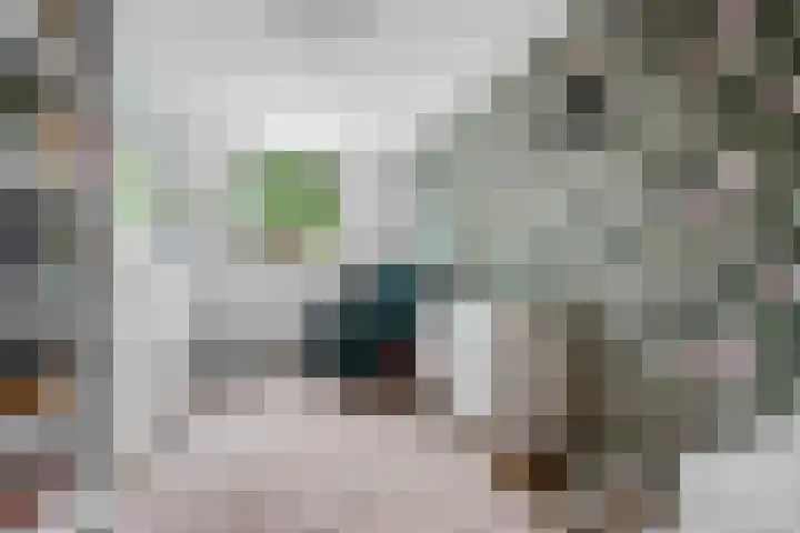 Ruinerbrink 80 Emmen thumbnail 21