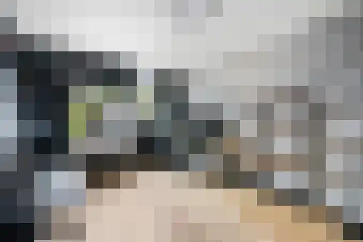 Ruinerbrink 80 Emmen thumbnail 23