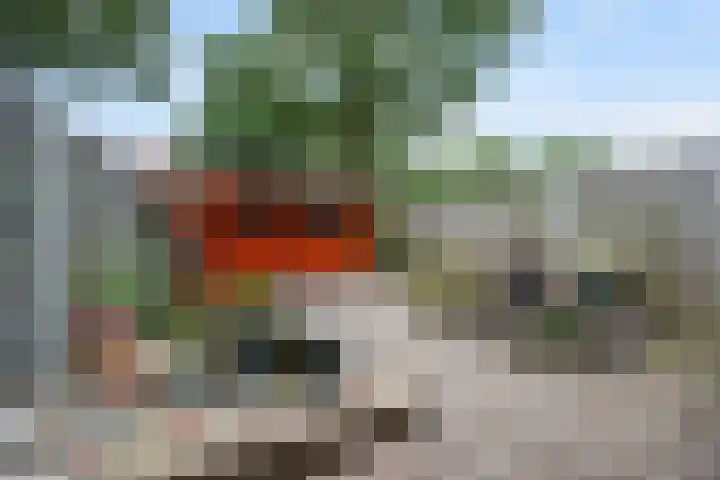 Ruinerbrink 80 Emmen thumbnail 37