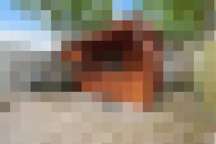 Ruinerbrink 80 Emmen thumbnail 38