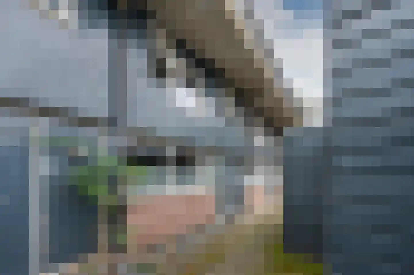 Ruinerbrink 97 Emmen thumbnail 29