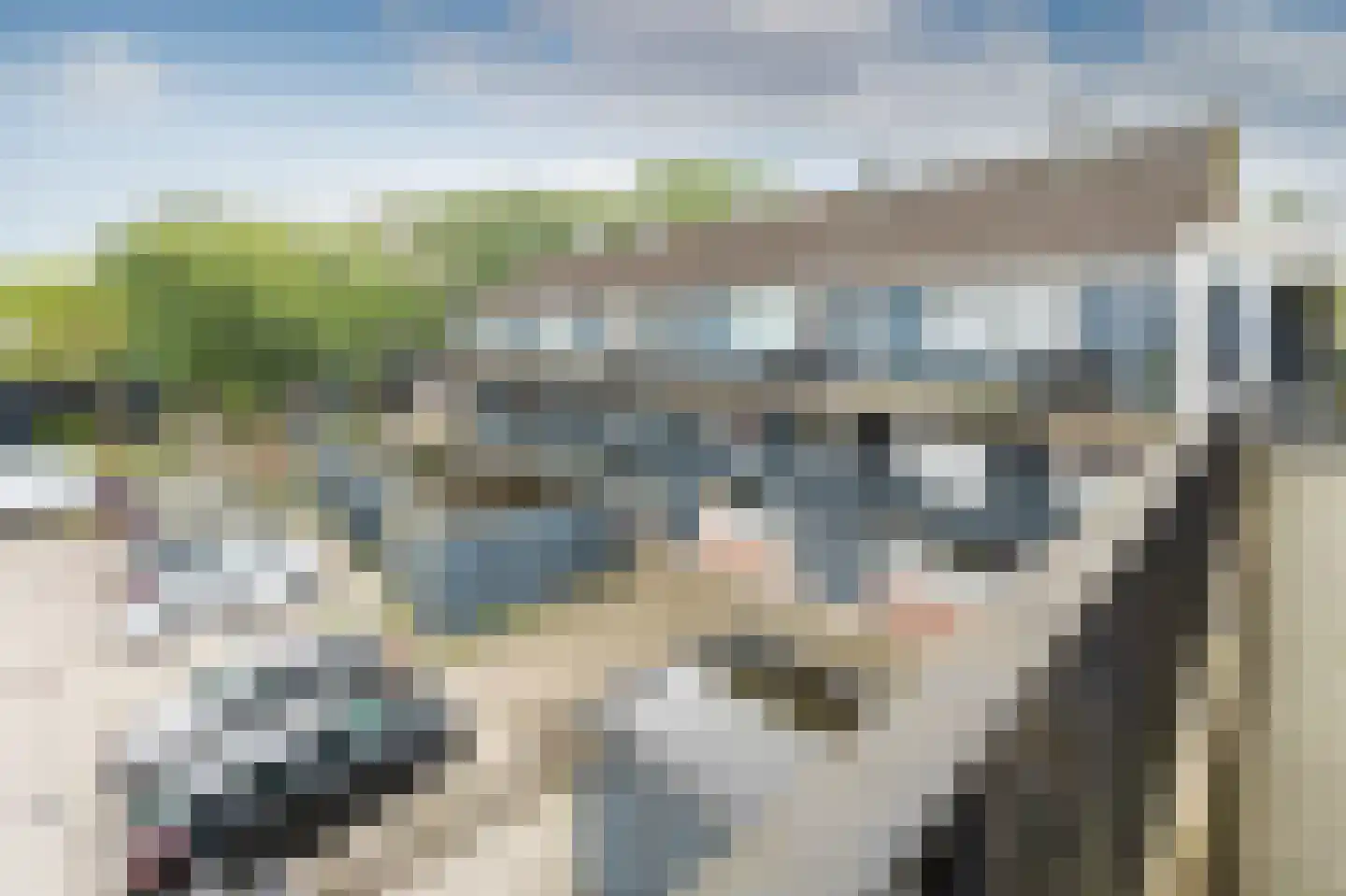 Ruinerbrink 97 Emmen thumbnail 32