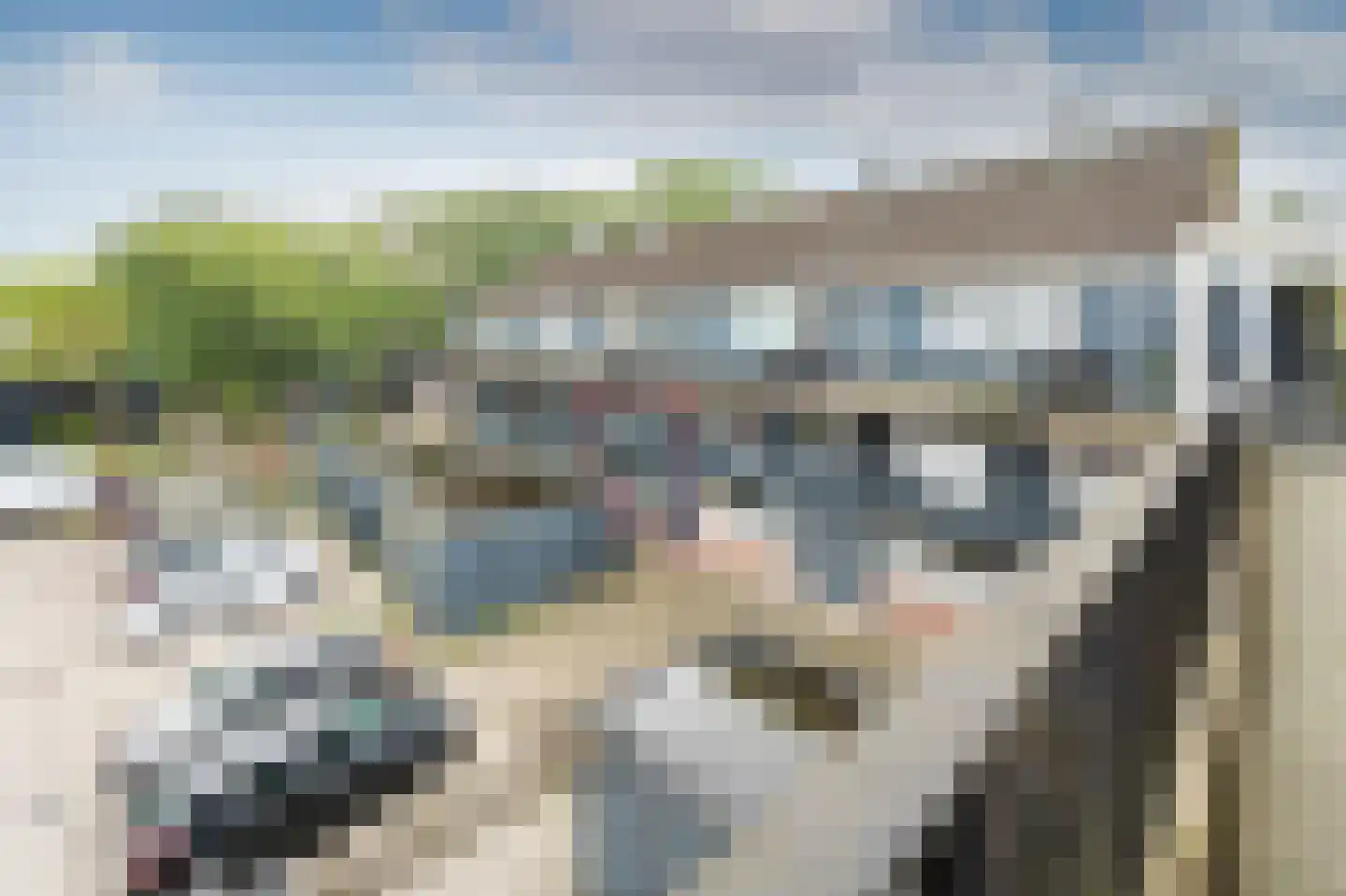 Ruinerbrink 97 Emmen thumbnail 33