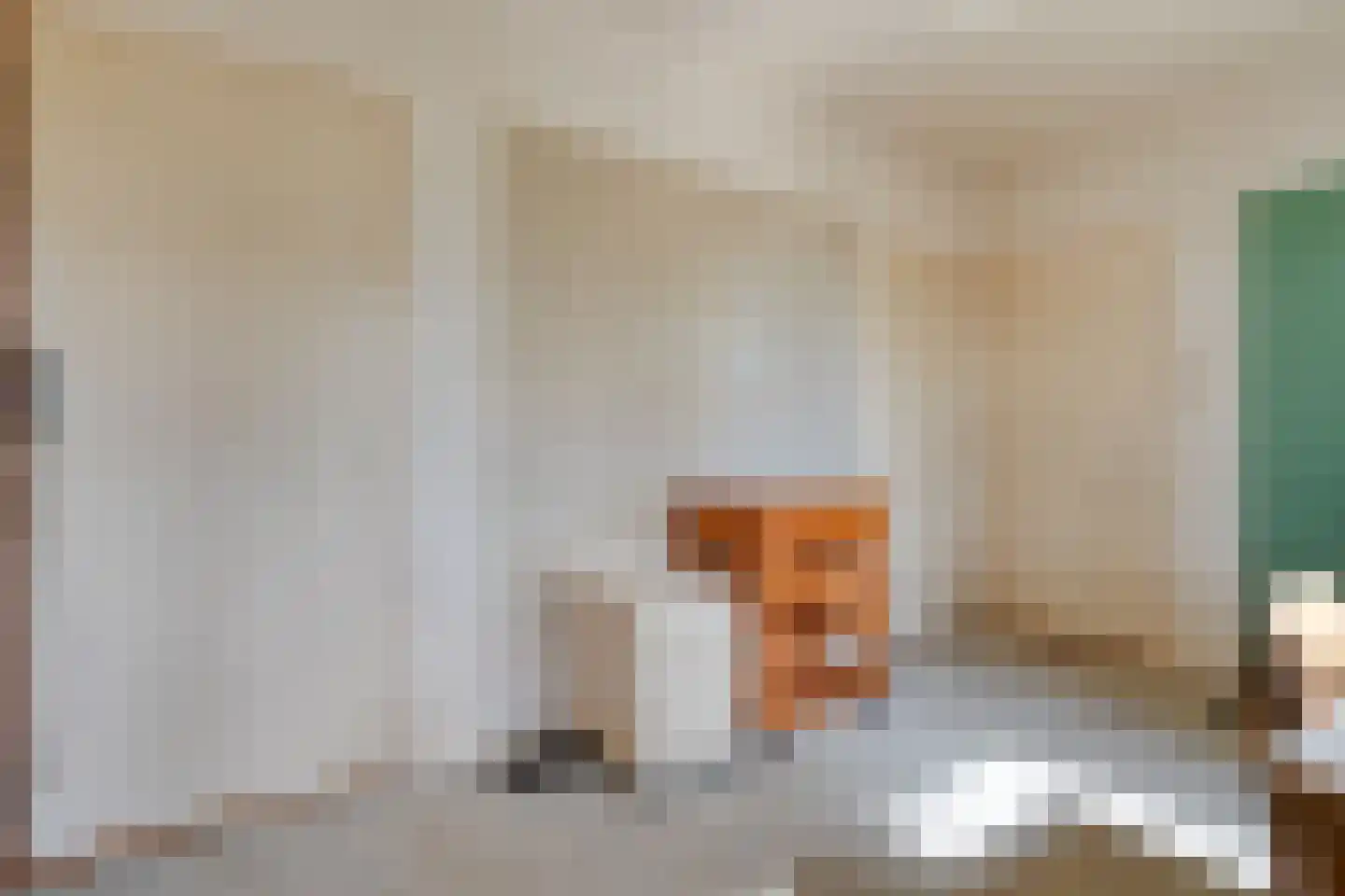 Ruinerveldweg 7 Ruinen thumbnail 14