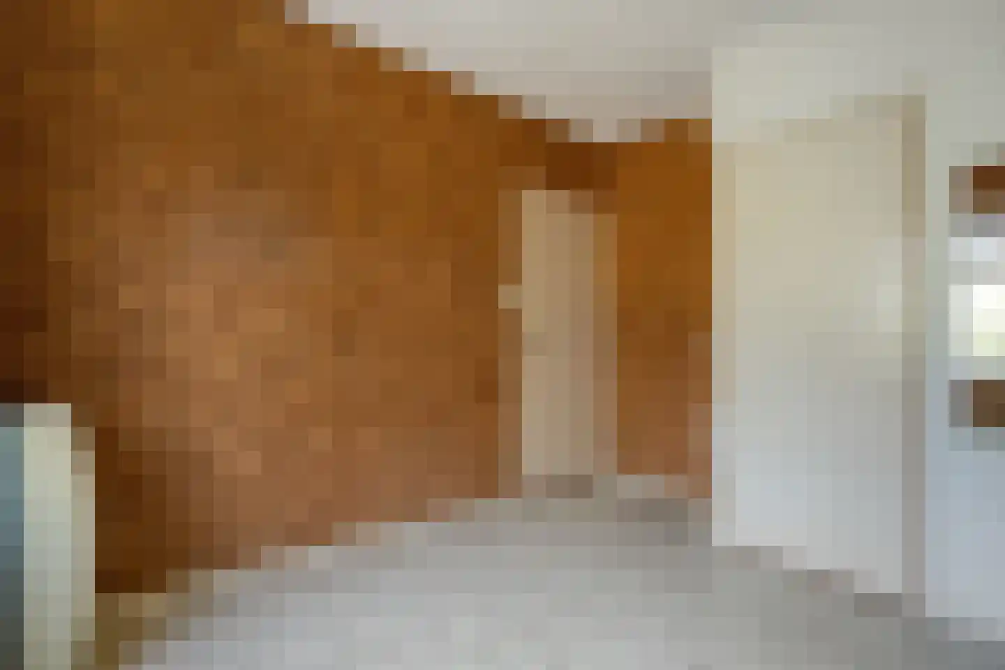 Ruinerveldweg 7 Ruinen thumbnail 16