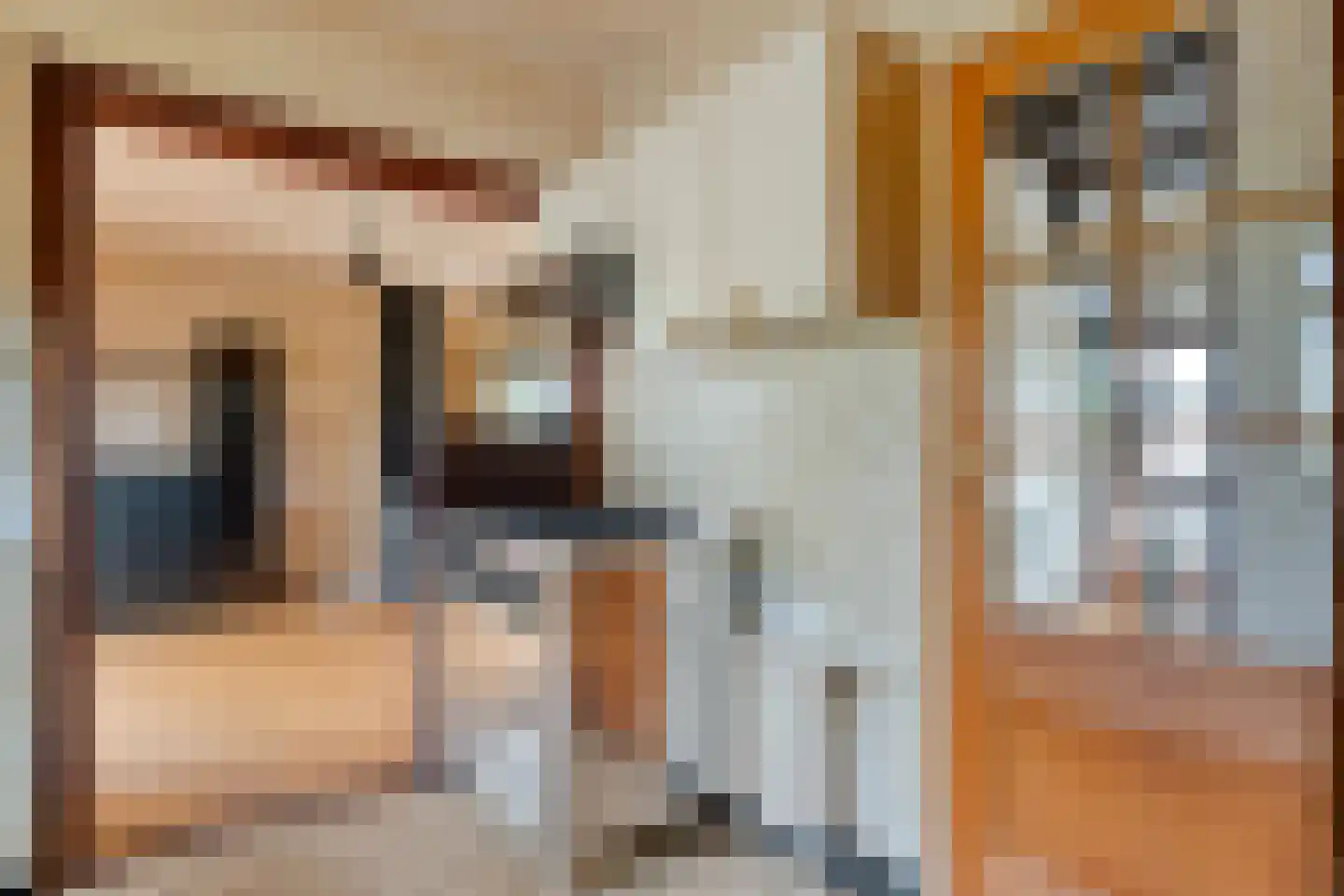 Ruinerveldweg 7 Ruinen thumbnail 19