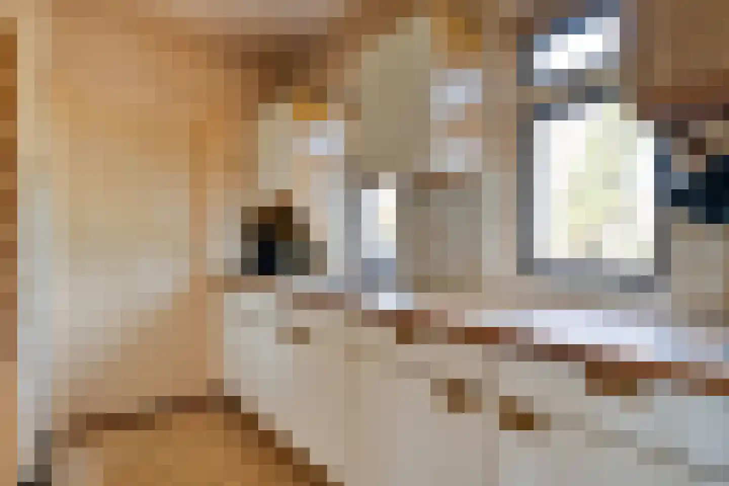 Ruinerveldweg 7 Ruinen thumbnail 20